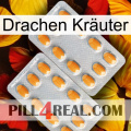 Drachen Kräuter cialis4